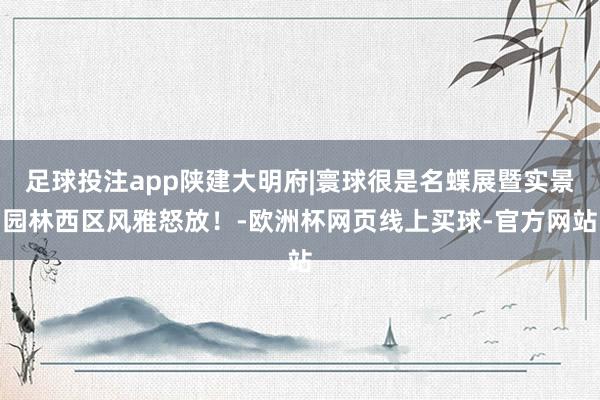 足球投注app陕建大明府|寰球很是名蝶展暨实景园林西区风雅怒放！-欧洲杯网页线上买球-官方网站