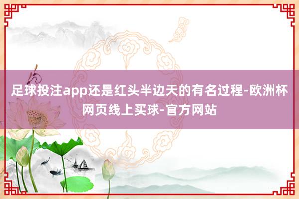 足球投注app还是红头半边天的有名过程-欧洲杯网页线上买球-官方网站
