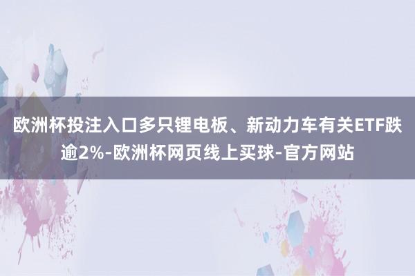 欧洲杯投注入口多只锂电板、新动力车有关ETF跌逾2%-欧洲杯网页线上买球-官方网站