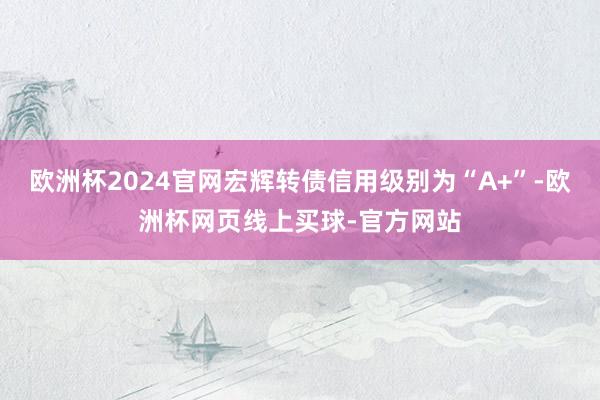 欧洲杯2024官网宏辉转债信用级别为“A+”-欧洲杯网页线上买球-官方网站