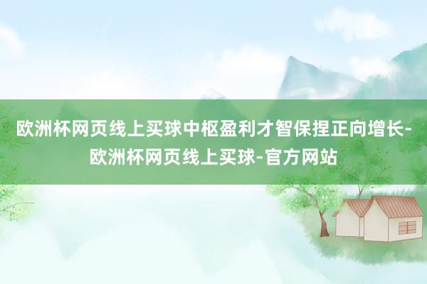 欧洲杯网页线上买球中枢盈利才智保捏正向增长-欧洲杯网页线上买球-官方网站