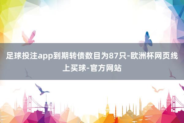 足球投注app到期转债数目为87只-欧洲杯网页线上买球-官方网站
