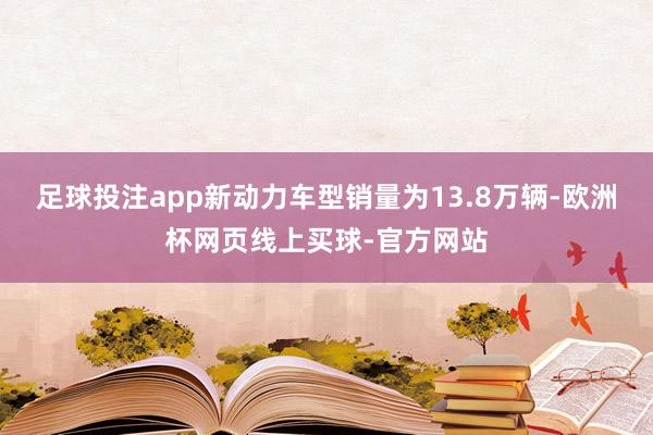 足球投注app新动力车型销量为13.8万辆-欧洲杯网页线上买球-官方网站