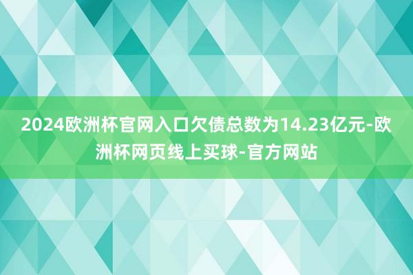 2024欧洲杯官网入口欠债总数为14.23亿元-欧洲杯网页线