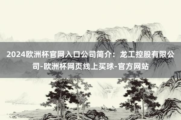 2024欧洲杯官网入口公司简介：龙工控股有限公司-欧洲杯网页线上买球-官方网站