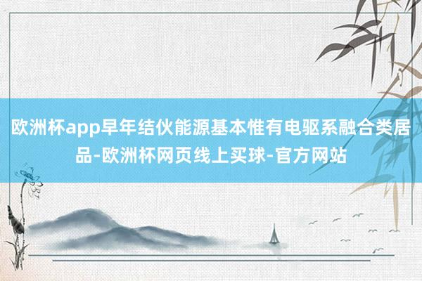 欧洲杯app早年结伙能源基本惟有电驱系融合类居品-欧洲杯网页