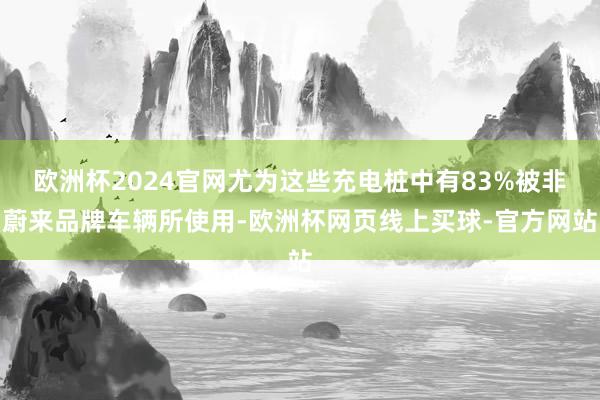 欧洲杯2024官网尤为这些充电桩中有83%被非蔚来品牌车辆所