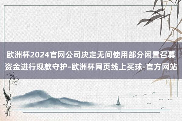 欧洲杯2024官网公司决定无间使用部分闲置召募资金进行现款守
