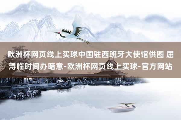 欧洲杯网页线上买球中国驻西班牙大使馆供图 屈浔临时间办暗意-