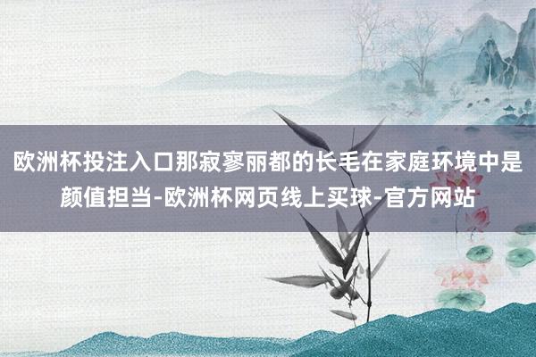 欧洲杯投注入口那寂寥丽都的长毛在家庭环境中是颜值担当-欧洲杯网页线上买球-官方网站